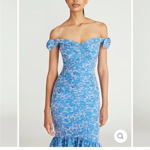 Theia Eliza dress, size 6
